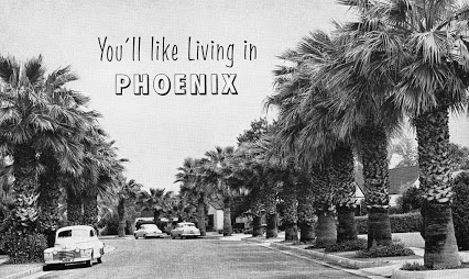 You'll Like living in phoenix