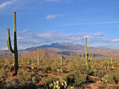 Four Peaks